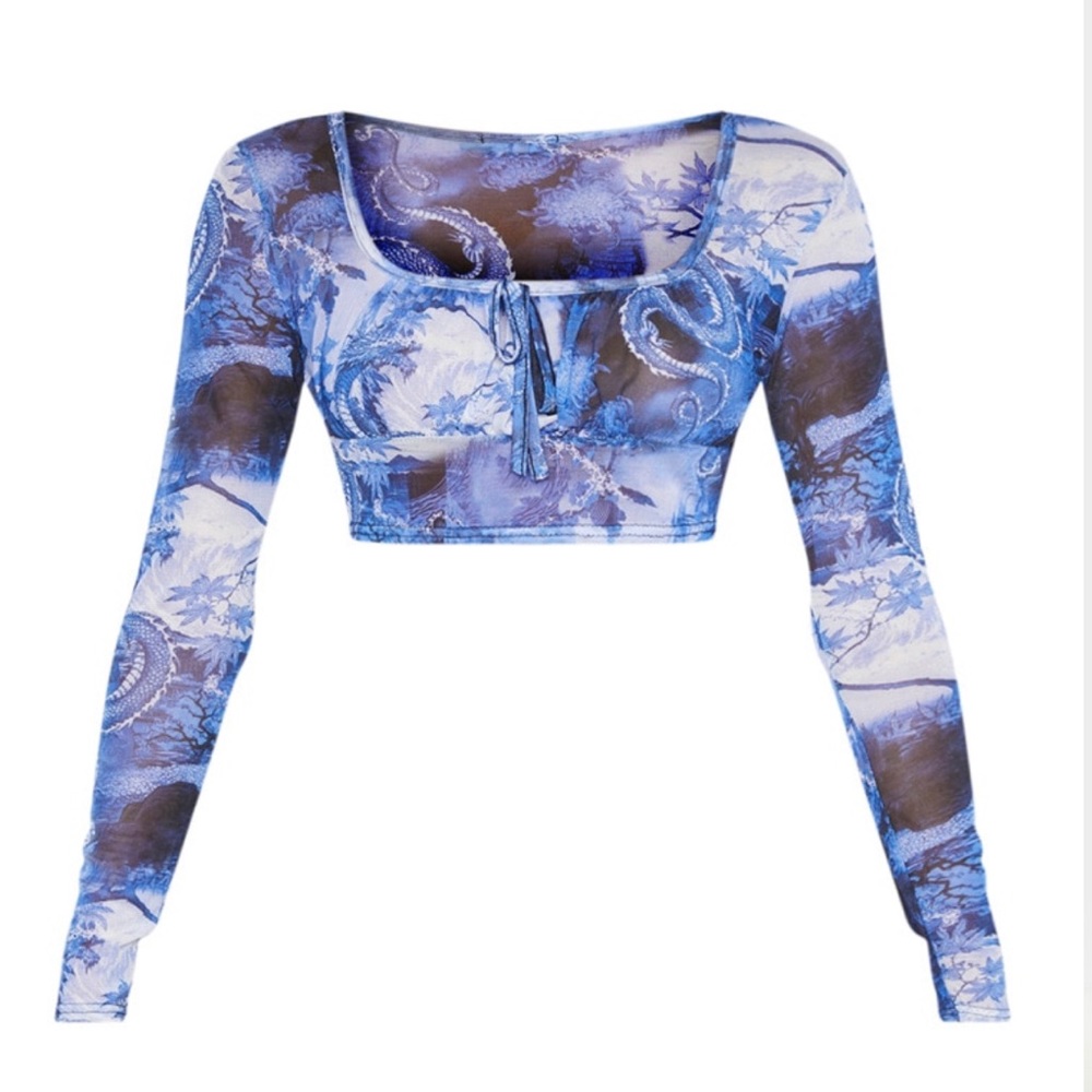 Never been used Blue Dragon Sheer Crop Top In Size (S)!!